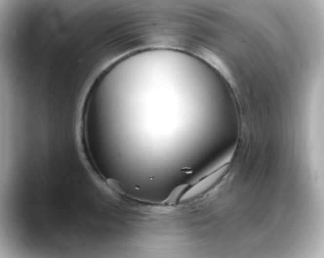 X0000088451136200706051301