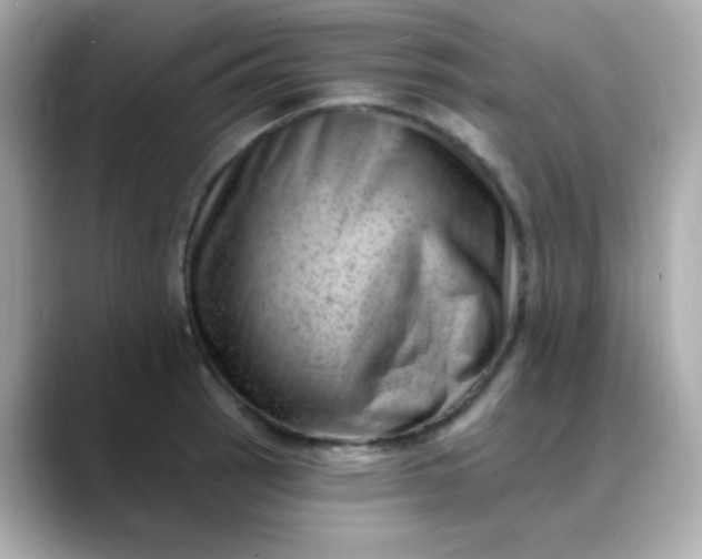 X0000088451137200706051301