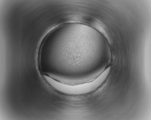 X0000088451138200706051301
