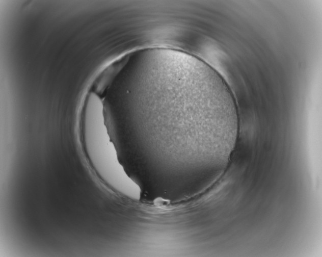 X0000088451144200706051301