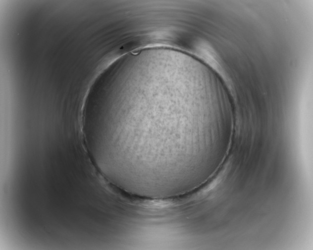X0000088451145200706051301