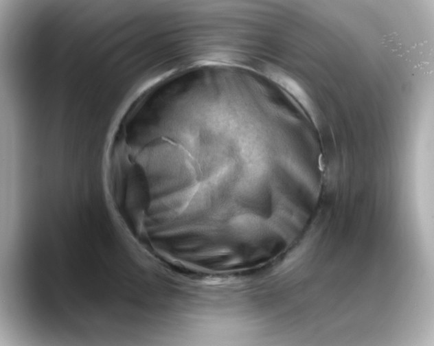 X0000088451146200706051301