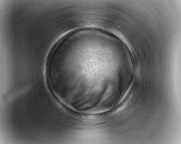 X0000088451149200706051301