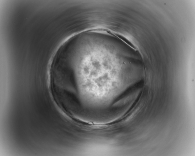 X0000088451151200706051301