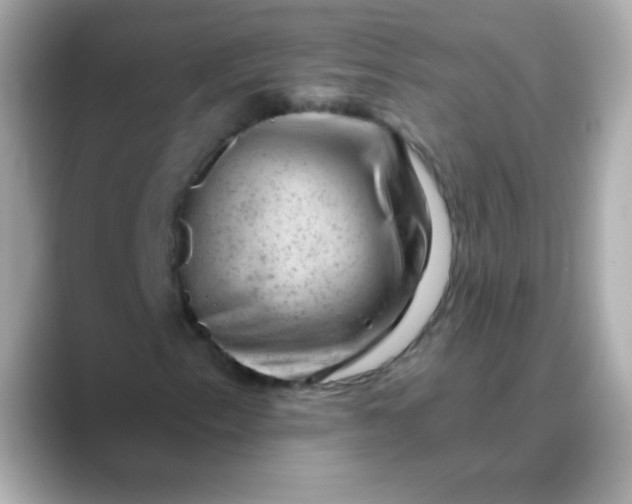 X0000088451153200706051301