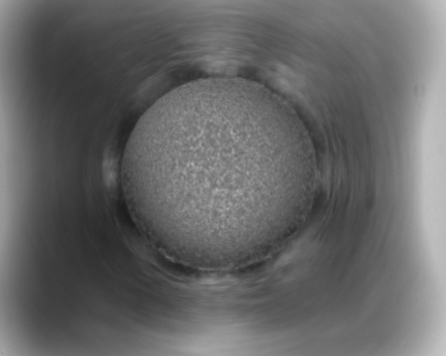 X0000088451154200706051301
