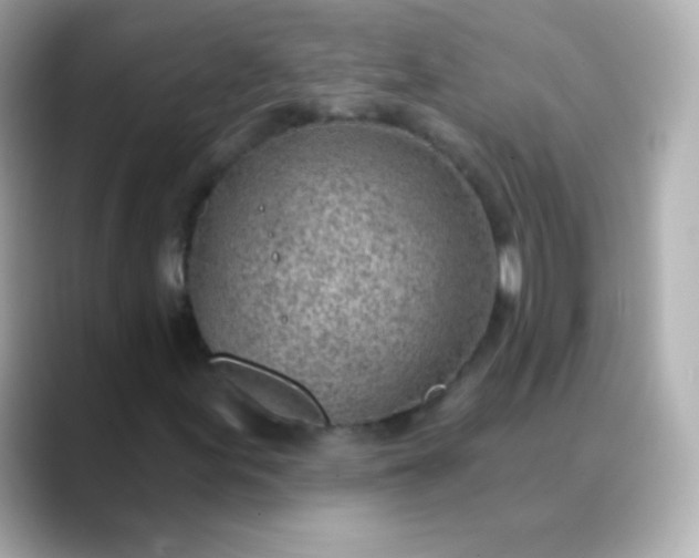 X0000088451155200706051301