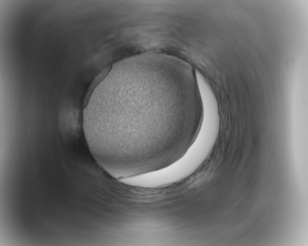 X0000088451156200706051301