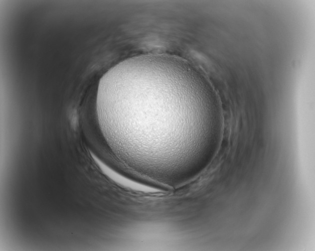 X0000088451157200706051301