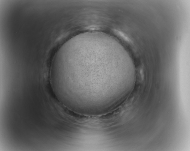 X0000088451158200706051301