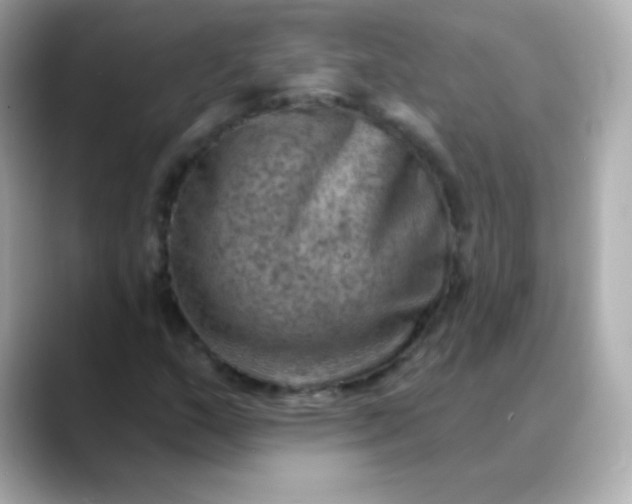 X0000088451159200706051301