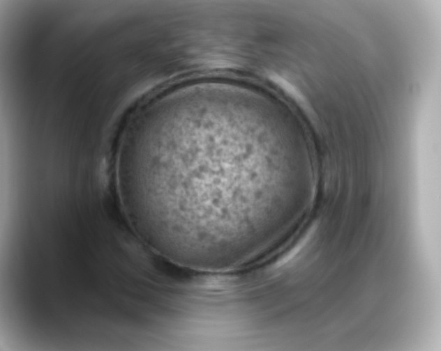 X0000088451163200706051301