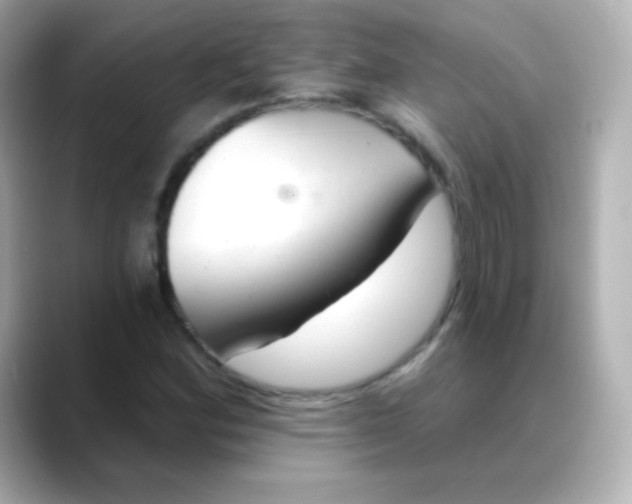 X0000088451164200706051301