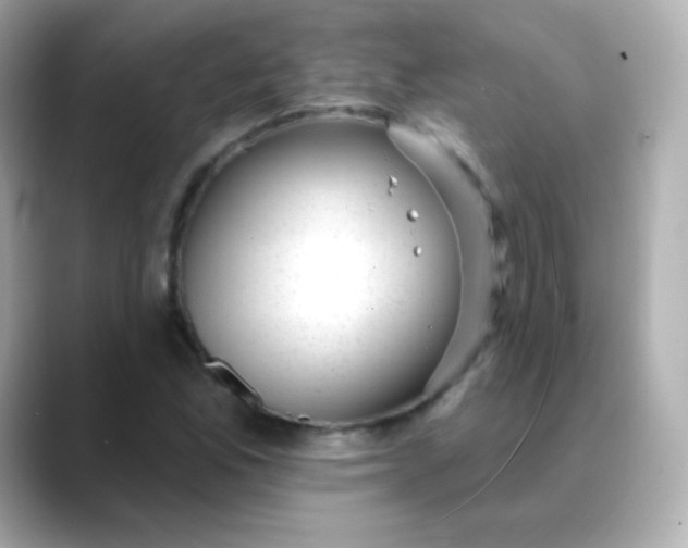 X0000088451165200706051301