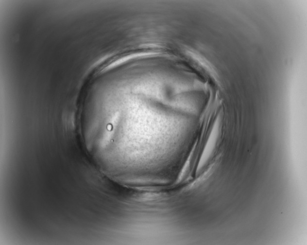 X0000088451166200706051301