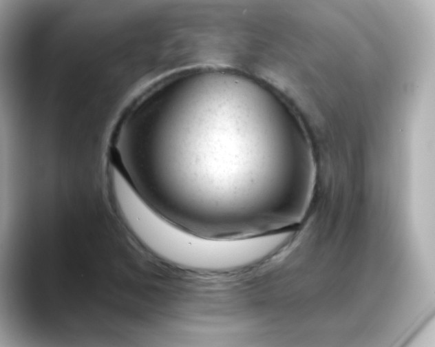 X0000088451168200706051301