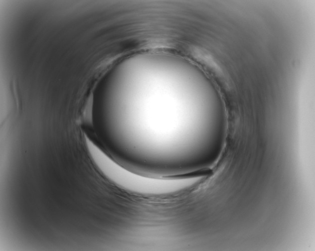 X0000088451169200706051301