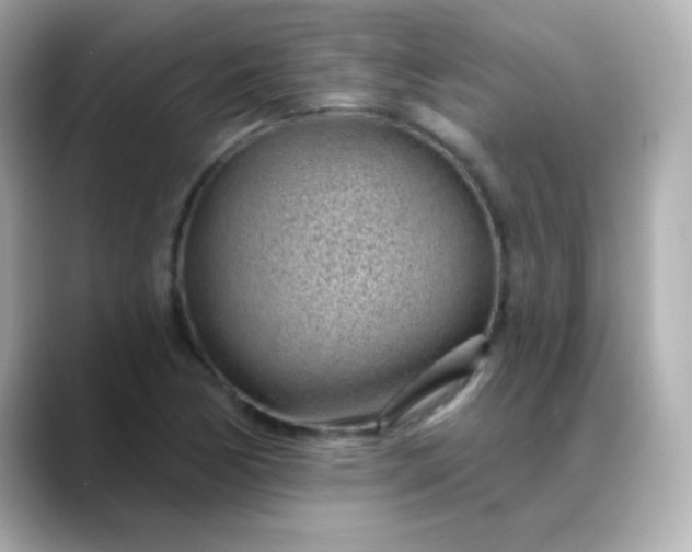 X0000088451170200706051301