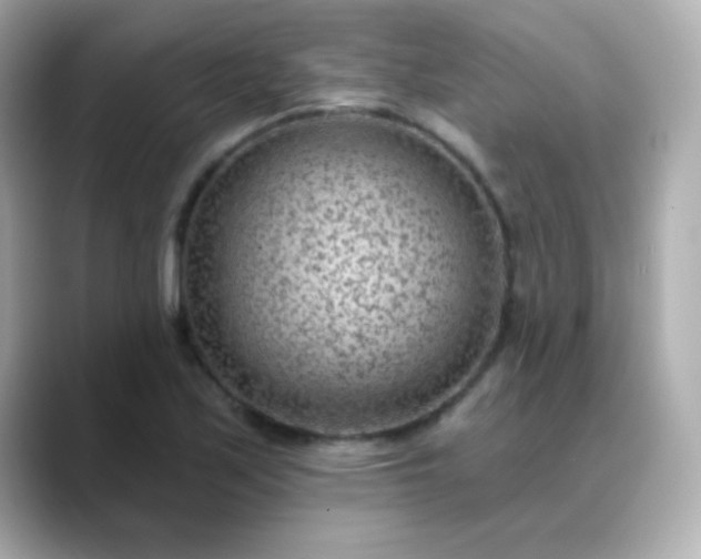 X0000088451171200706051301