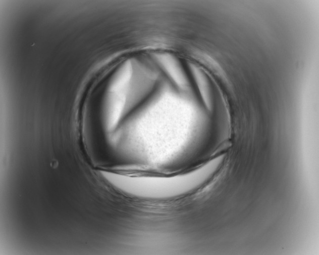 X0000088451172200706051301