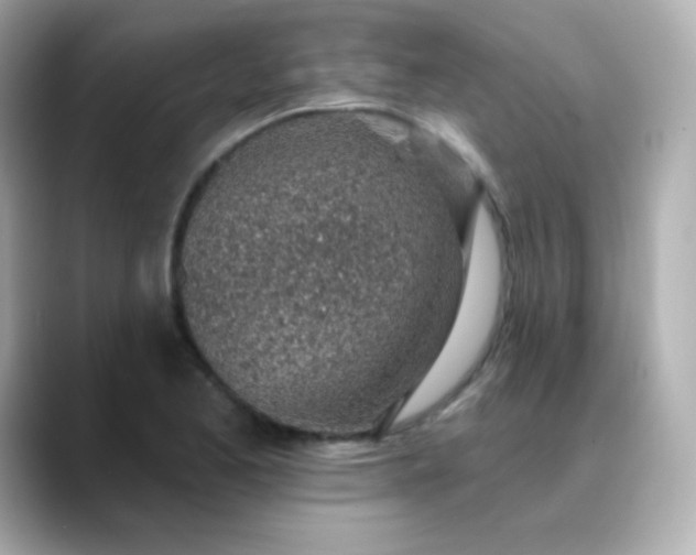 X0000088451173200706051301