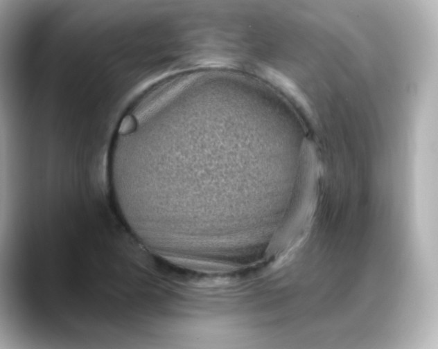 X0000088451174200706051301