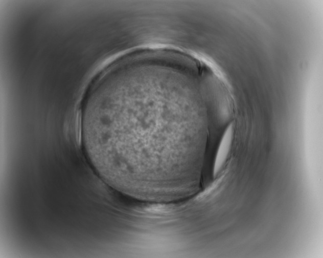 X0000088451175200706051301