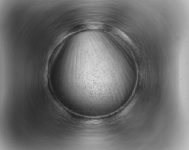 X0000088451178200706051301