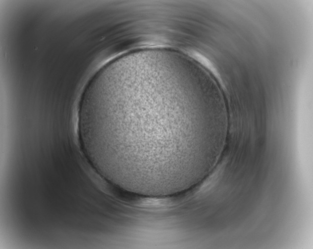 X0000088451179200706051301