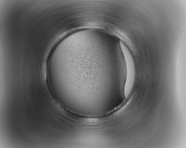 X0000088451180200706051301