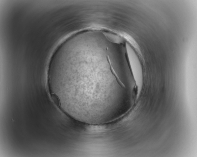 X0000088451183200706051301