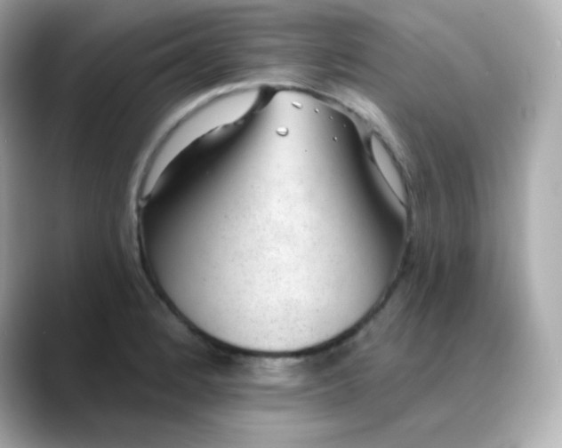X0000088451184200706051300