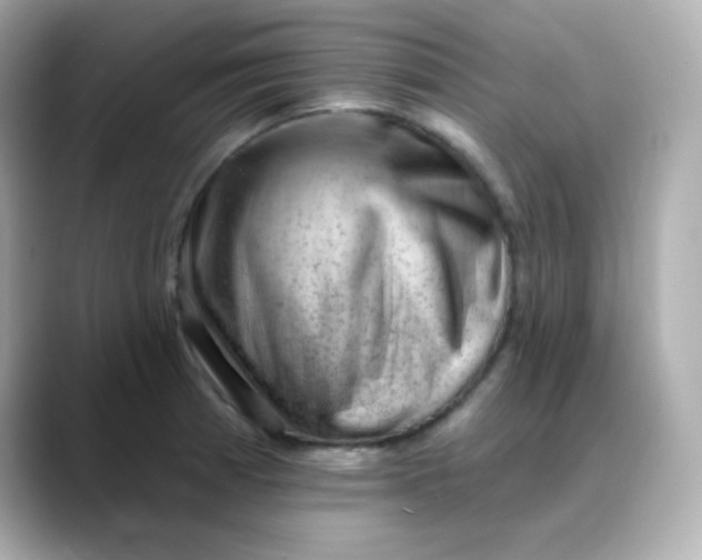 X0000088451185200706051300