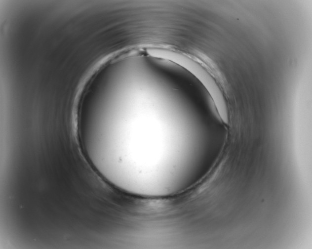 X0000088451188200706051300