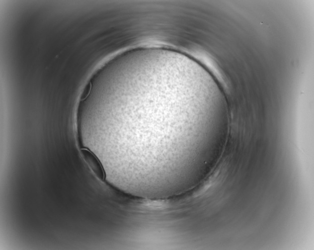 X0000088451191200706051300