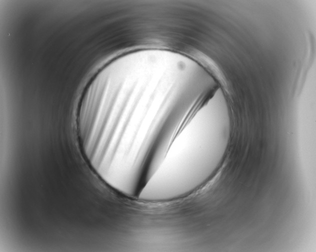 X0000088451192200706051300