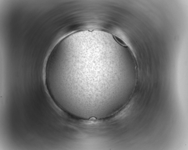 X0000088451195200706051300