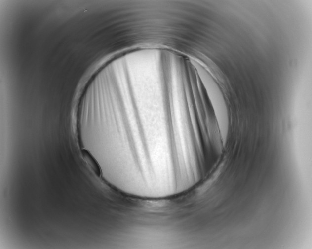 X0000088451196200706051300