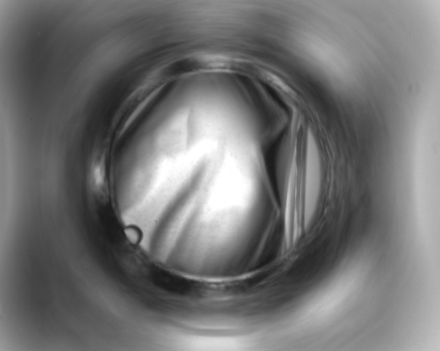 X0000088451198200706051300