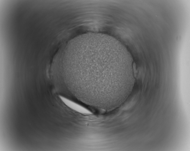X0000088451202200706051300