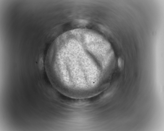 X0000088451203200706051300