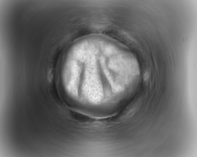 X0000088451204200706051300