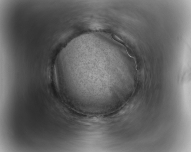 X0000088451205200706051300