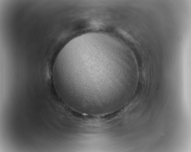 X0000088451206200706051300