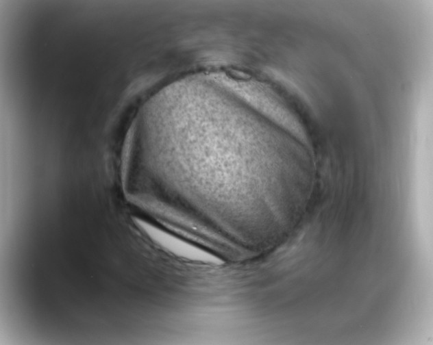 X0000088451207200706051300
