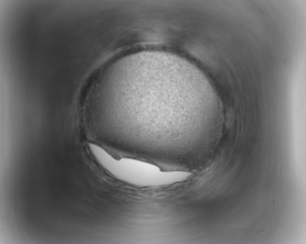 X0000088451208200706051300