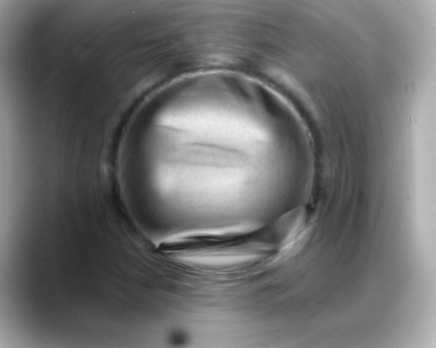 X0000088451210200706051300