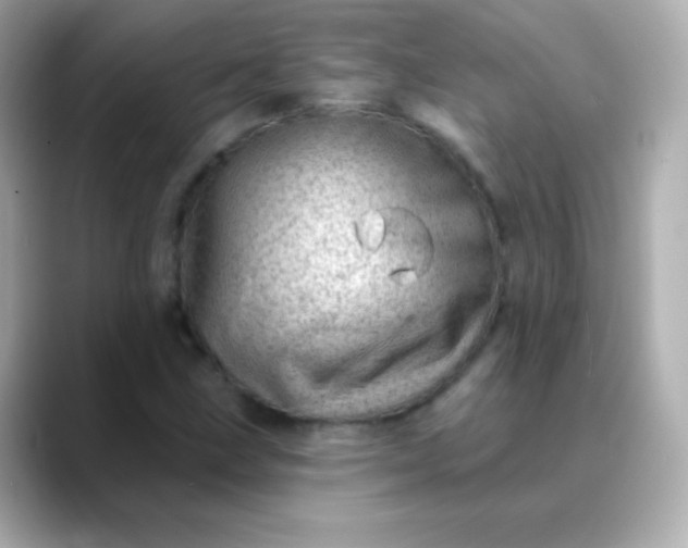 X0000088451211200706051300