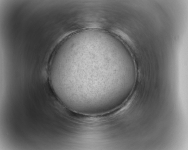 X0000088451212200706051300