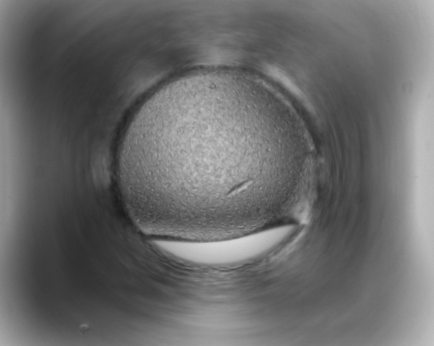 X0000088451213200706051300